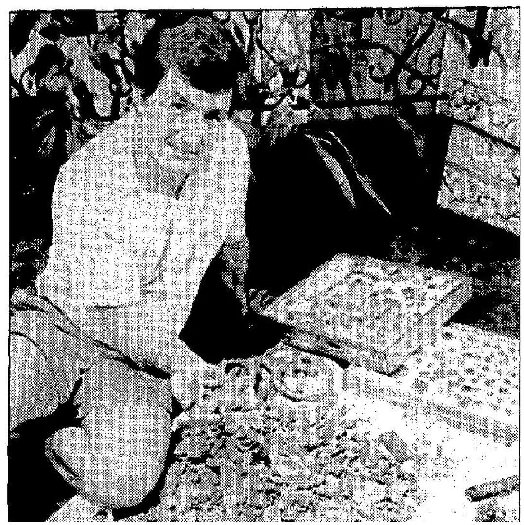 Metal Seeker Buried fortune