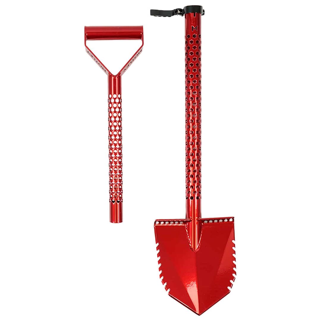 Motley forest fox red Shovel